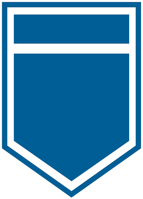 icono simil escudo